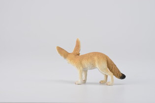 COLLECTA FENEK 4