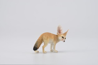 COLLECTA FENEK 5