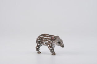 COLLECTA TAPIR CIELĘ BAIRDA 3