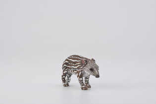 COLLECTA TAPIR CIELĘ BAIRDA 4
