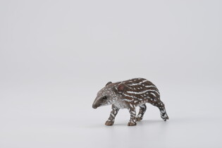 COLLECTA TAPIR CIELĘ BAIRDA 5