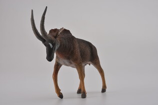 COLLECTA ANTYLOPA GIGANT SABLE SAMICA 3