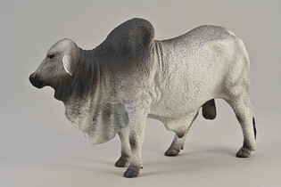 COLLECTA BYK BRAHAM 3