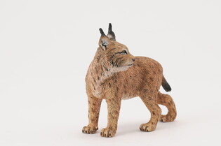 COLLECTA RYŚ 5