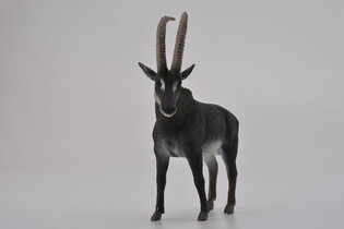 COLLECTA ANTYLOPA OLBRZYMIA SAMIEC 3