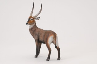 COLLECTA ANTYLOPA KOB ŚNIADY 3