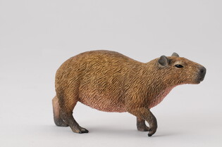 COLLECTA KAPIBARA 3