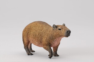 COLLECTA KAPIBARA 4