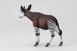 COLLECTA OKAPI 3
