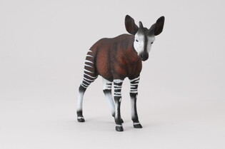 COLLECTA OKAPI 4