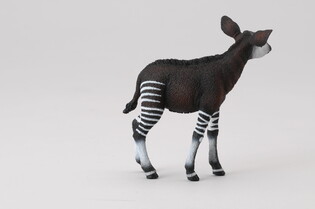 COLLECTA OKAPI CIELĘ 3