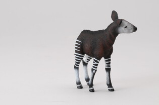 COLLECTA OKAPI CIELĘ 4
