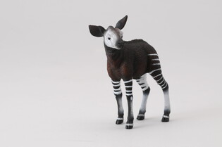COLLECTA OKAPI CIELĘ 5