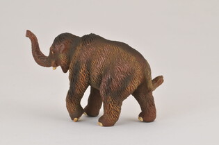 COLLECTA MAMUCIĄTKO 3