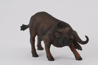 COLLECTA BAWÓŁ AFRYKAŃSKI 4