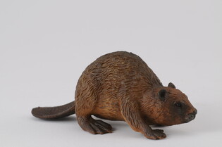 COLLECTA BÓBR 3