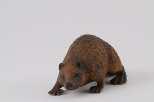 COLLECTA BÓBR 5