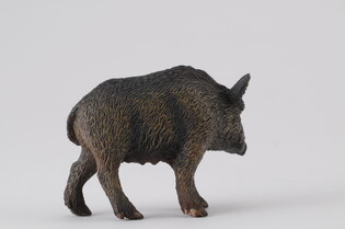 COLLECTA LOCHA 4