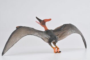COLLECTA DINOZAUR PTERANODON SKALA 1:40 (DELUXE)
 3