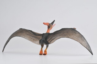 COLLECTA DINOZAUR PTERANODON SKALA 1:40 (DELUXE)
 4