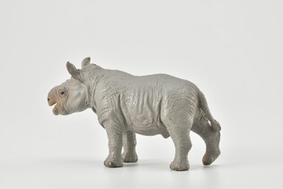 COLLECTA MŁODY NOSOROŻEC BIAŁY 5