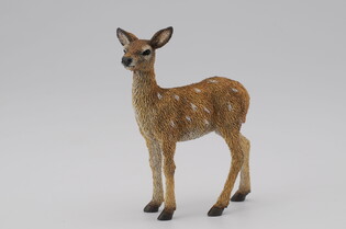 COLLECTA JELONEK 3