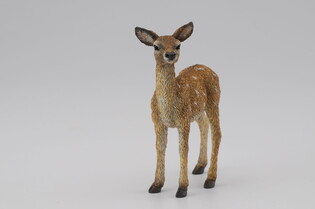 COLLECTA JELONEK 4