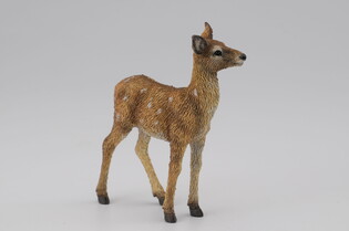COLLECTA JELONEK 5