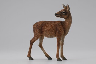 COLLECTA ŁANIA 5