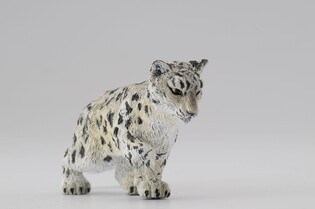 COLLECTA LAMPART MŁODY ŚNIEŻNY BAWIĄCY SIĘ 5