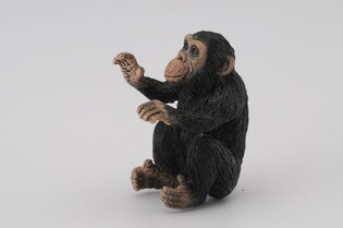 COLLECTA SZYMPANS MŁODY PRZYTULAJĄCY SIĘ 5