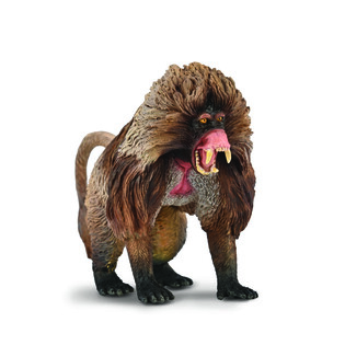 COLLECTA DŻELADA BRUNATNA