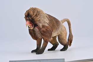 COLLECTA DŻELADA BRUNATNA 2