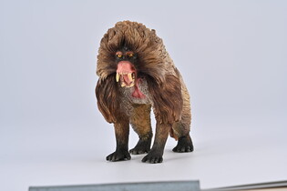 COLLECTA DŻELADA BRUNATNA 3