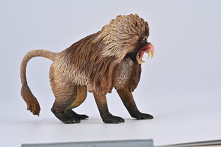 COLLECTA DŻELADA BRUNATNA 4