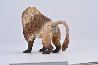 COLLECTA DŻELADA BRUNATNA 5