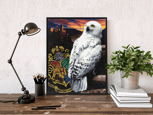 DIAMOND DOTZ ADULTS SNOWY OWL HEDWIG 3