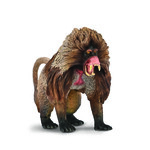 COLLECTA DŻELADA BRUNATNA
