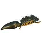 COLLECTA TRASZKA GRZEBIENIASTA