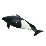 COLLECTA MORŚWINIEC BIAŁOPŁETWY